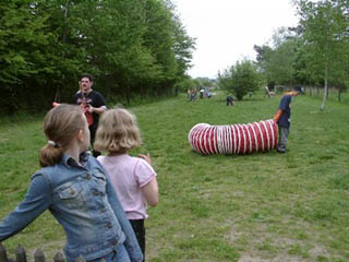 hunde1