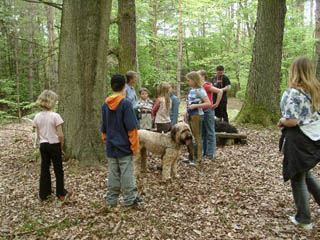 hunde3