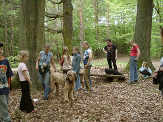 hunde4