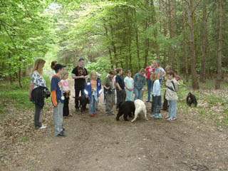 hunde5