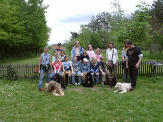 hunde8